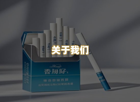 关于我们
